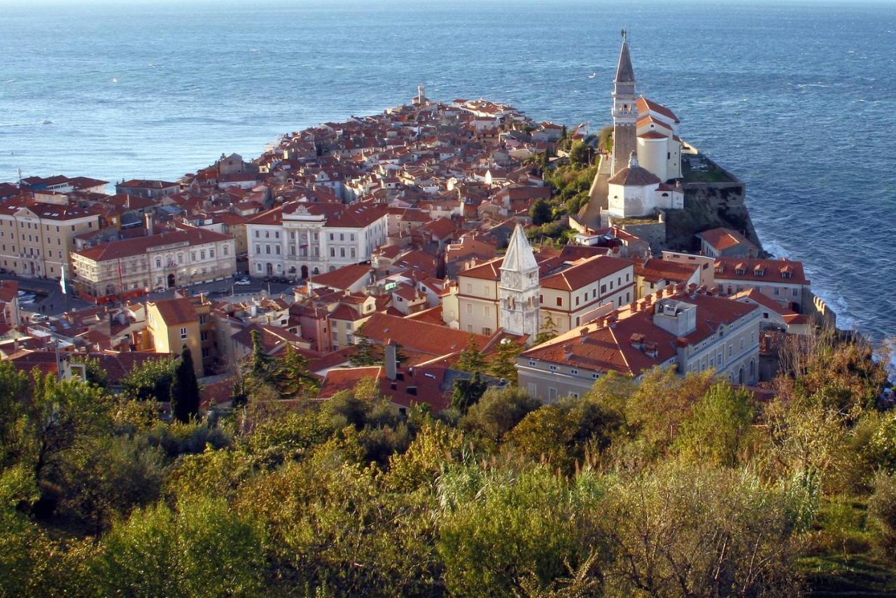 Sea View Istrian Countryside Apartment - Rota Dragonja Ngoại thất bức ảnh
